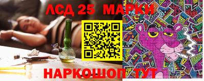 apvp Аша