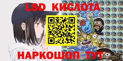 apvp Аша