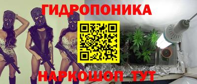 apvp Аша