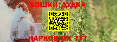 apvp Аша