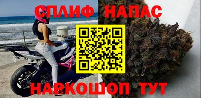 apvp Аша