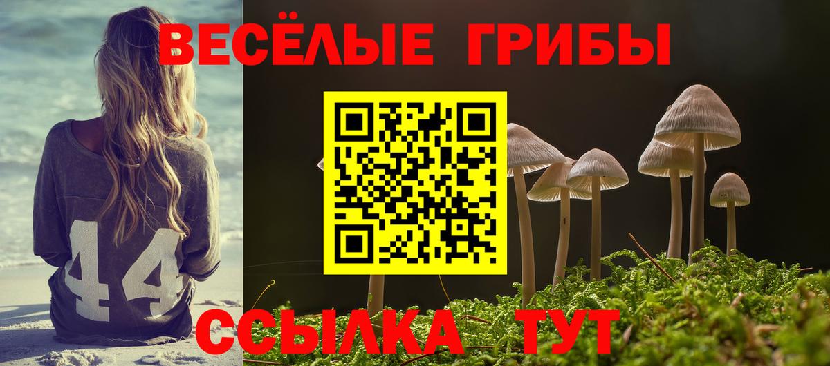 Дивногорск  Галлюциногенные грибы MAGIC MUSHROOMS  Вход с VPN 